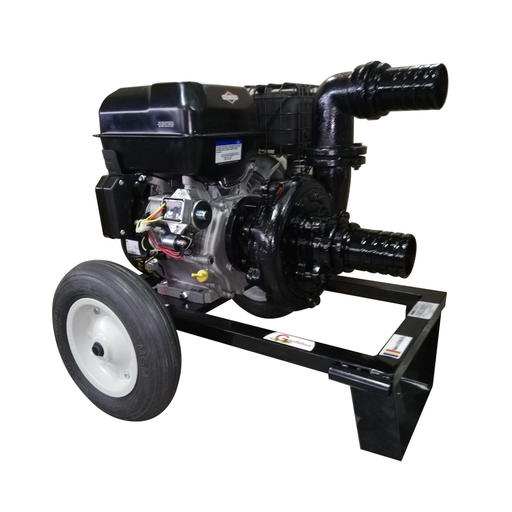 Picture of Motopompa de presiune pe benzina DWP 420 BS3 cu motor BRIGGS & STRATTON